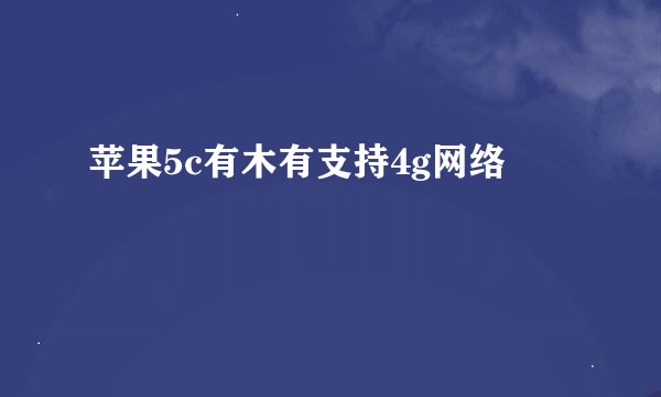 苹果5c有木有支持4g网络