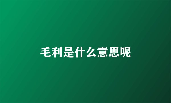 毛利是什么意思呢