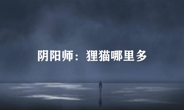 阴阳师：狸猫哪里多