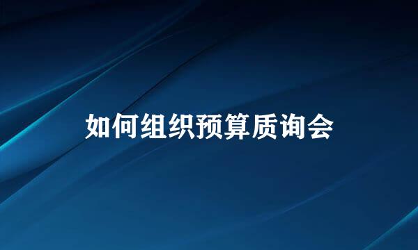 如何组织预算质询会