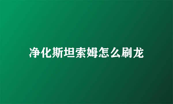净化斯坦索姆怎么刷龙