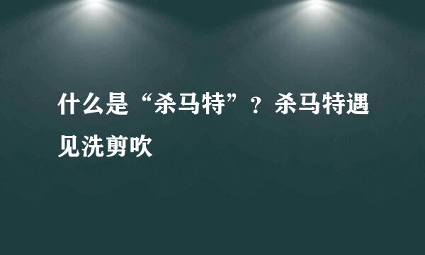 什么是“杀马特”？杀马特遇见洗剪吹