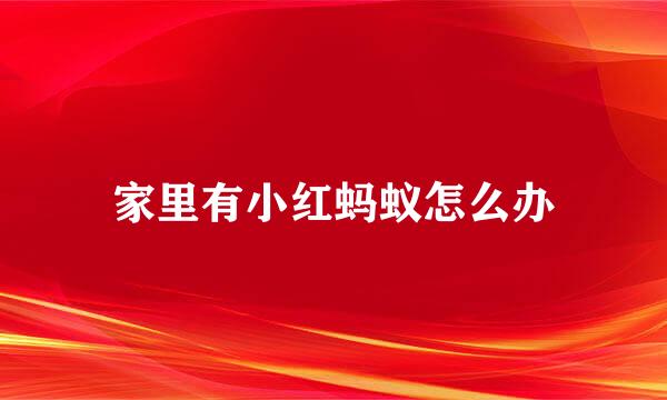 家里有小红蚂蚁怎么办