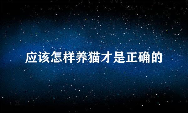 应该怎样养猫才是正确的