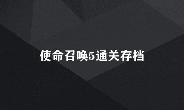 使命召唤5通关存档