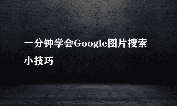 一分钟学会Google图片搜索小技巧