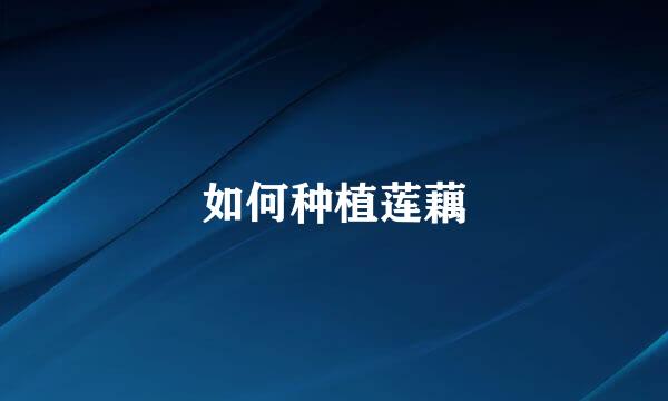 如何种植莲藕