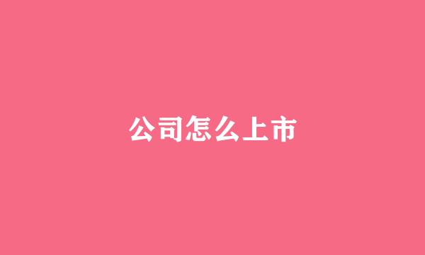 公司怎么上市