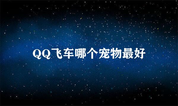 QQ飞车哪个宠物最好