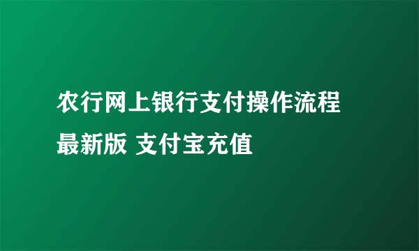 农行网上银行支付操作流程 最新版 支付宝充值