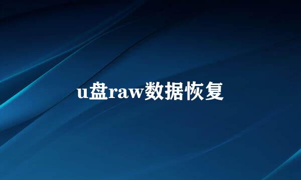 u盘raw数据恢复