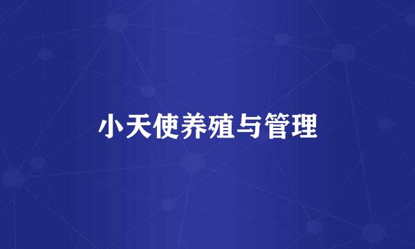 小天使养殖与管理