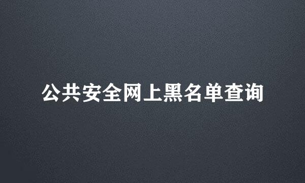 公共安全网上黑名单查询