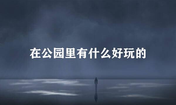 在公园里有什么好玩的