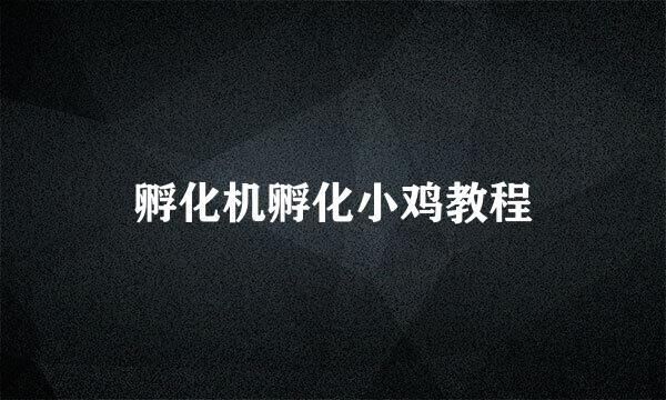 孵化机孵化小鸡教程