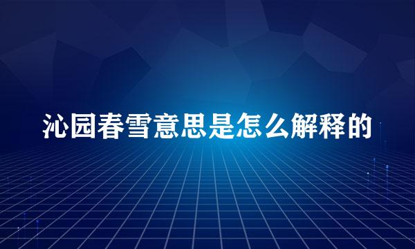 沁园春雪意思是怎么解释的