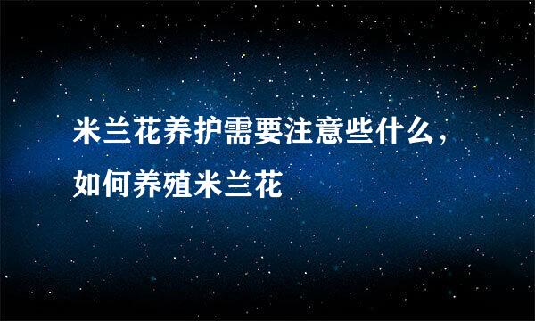 米兰花养护需要注意些什么，如何养殖米兰花