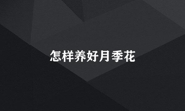 怎样养好月季花