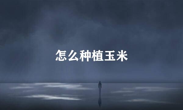怎么种植玉米