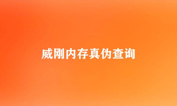 威刚内存真伪查询