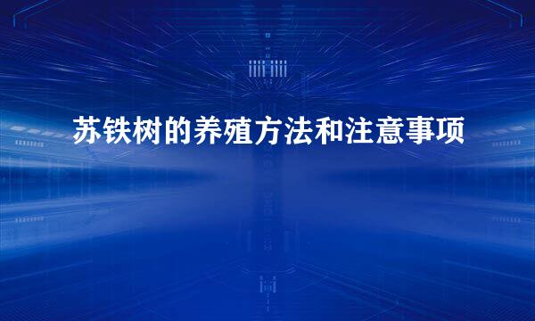 苏铁树的养殖方法和注意事项