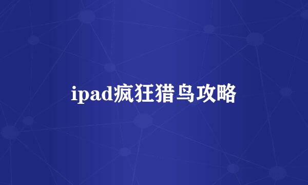 ipad疯狂猎鸟攻略