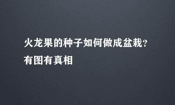 火龙果的种子如何做成盆栽？有图有真相