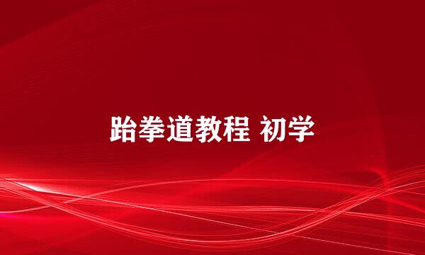 跆拳道教程 初学