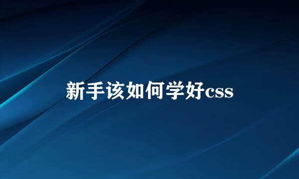 新手该如何学好css