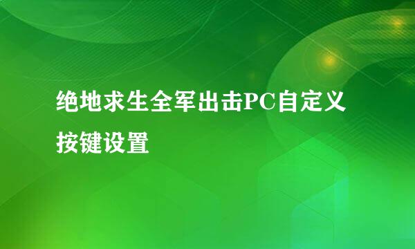 绝地求生全军出击PC自定义按键设置