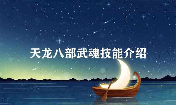 天龙八部武魂技能介绍