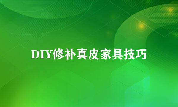 DIY修补真皮家具技巧