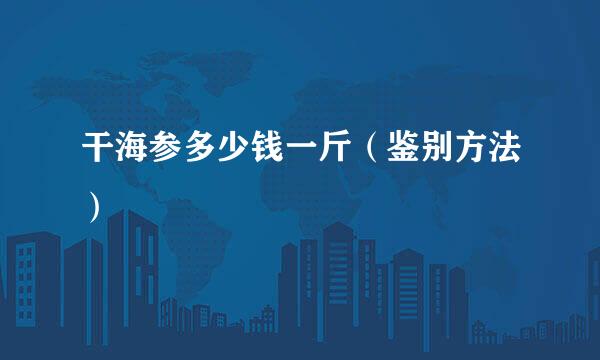 干海参多少钱一斤(鉴别方法)