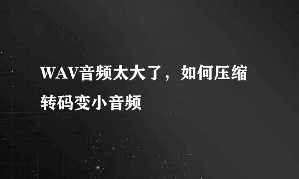 WAV音频太大了,如何压缩转码变小音频