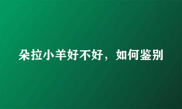 朵拉小羊好不好,如何鉴别
