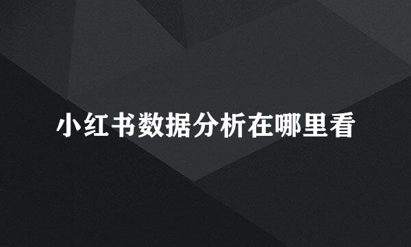 小红书数据分析在哪里看