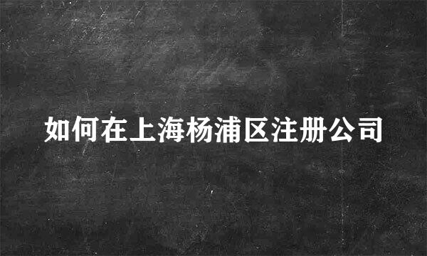 如何在上海杨浦区注册公司