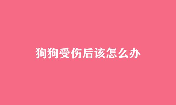 狗狗受伤后该怎么办