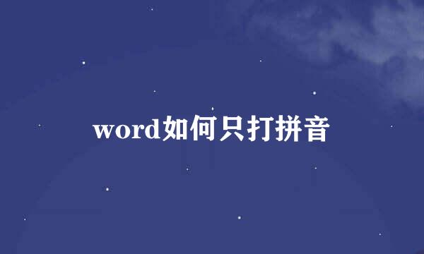 word如何只打拼音