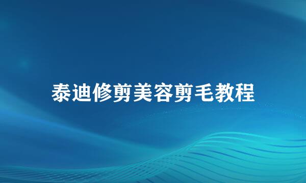 泰迪修剪美容剪毛教程