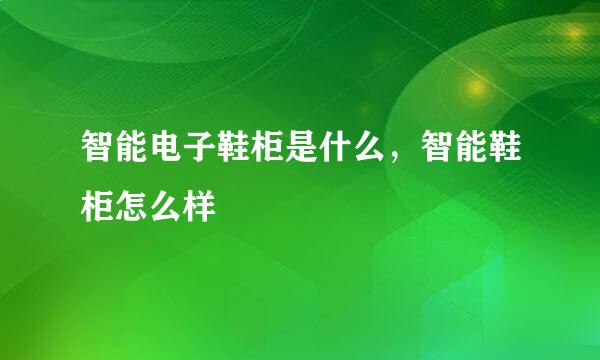 智能电子鞋柜是什么,智能鞋柜怎么样