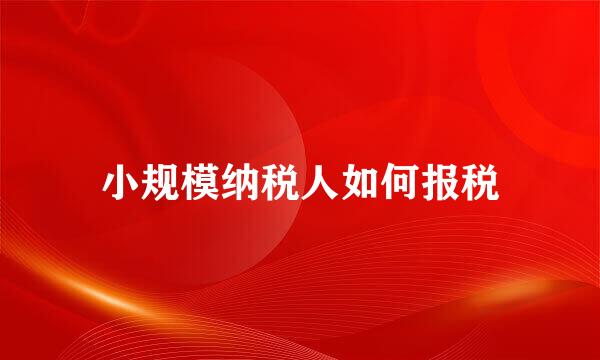 小规模纳税人如何报税