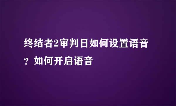 终结者2审判日如何设置语音?如何开启语音