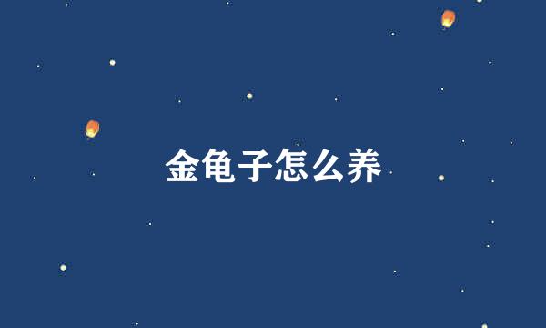 金龟子怎么养