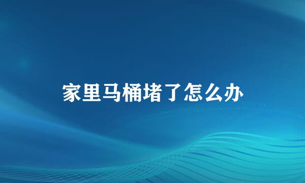 家里马桶堵了怎么办