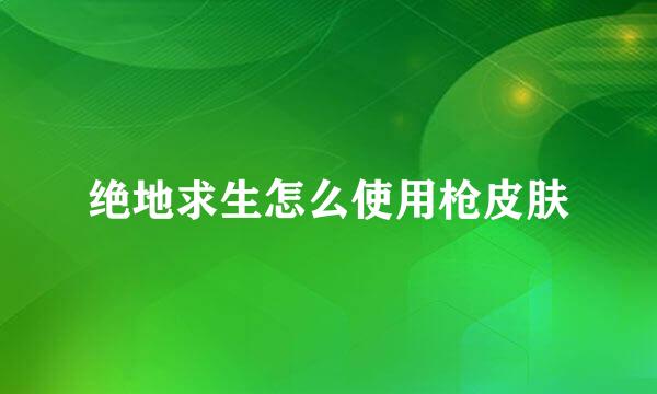 绝地求生怎么使用枪皮肤