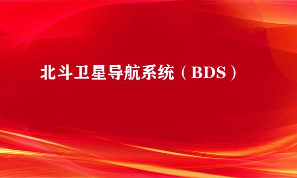 北斗卫星导航系统（BDS）