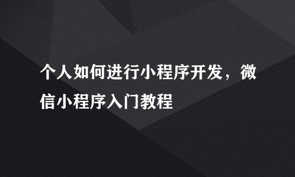 个人如何进行小程序开发,微信小程序入门教程