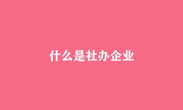 什么是社办企业