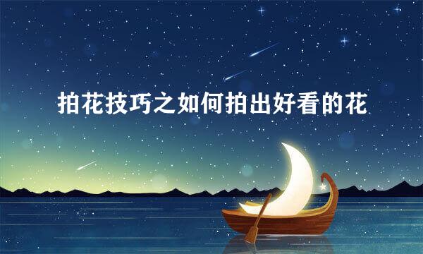 拍花技巧之如何拍出好看的花